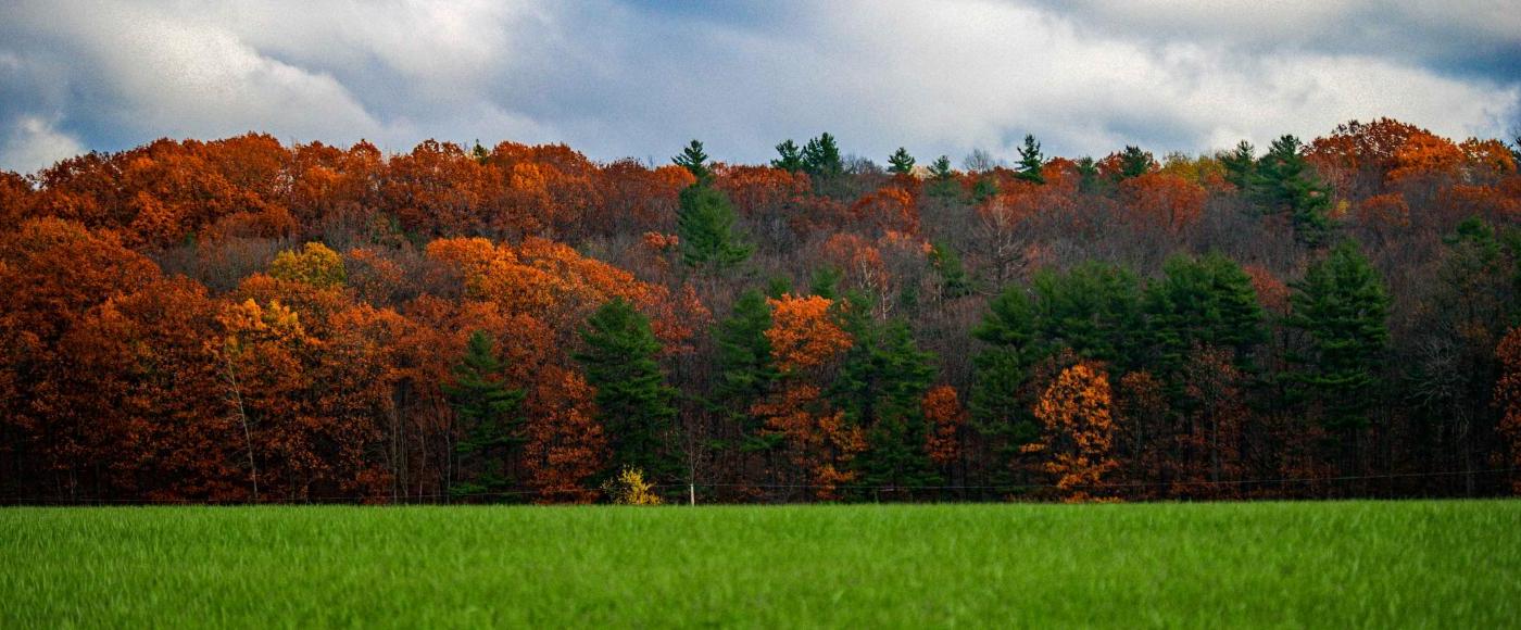 Fall In Vermont